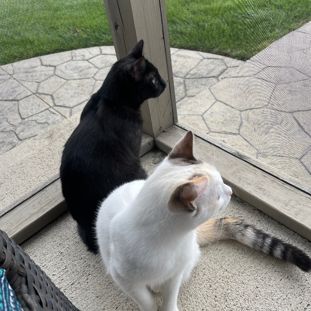 Meet your Posher, Becky